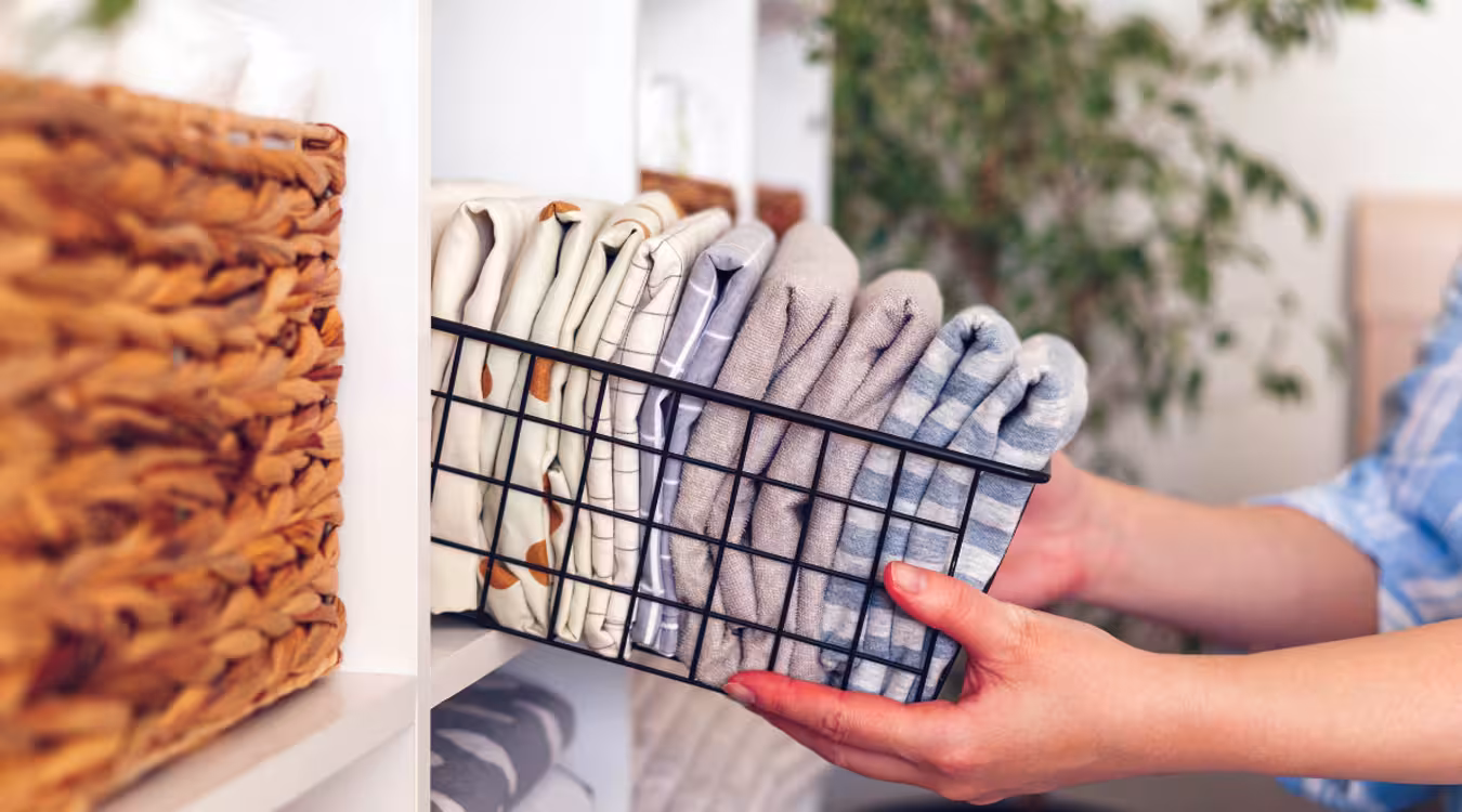 Common Organization Myths and How to Overcome Them